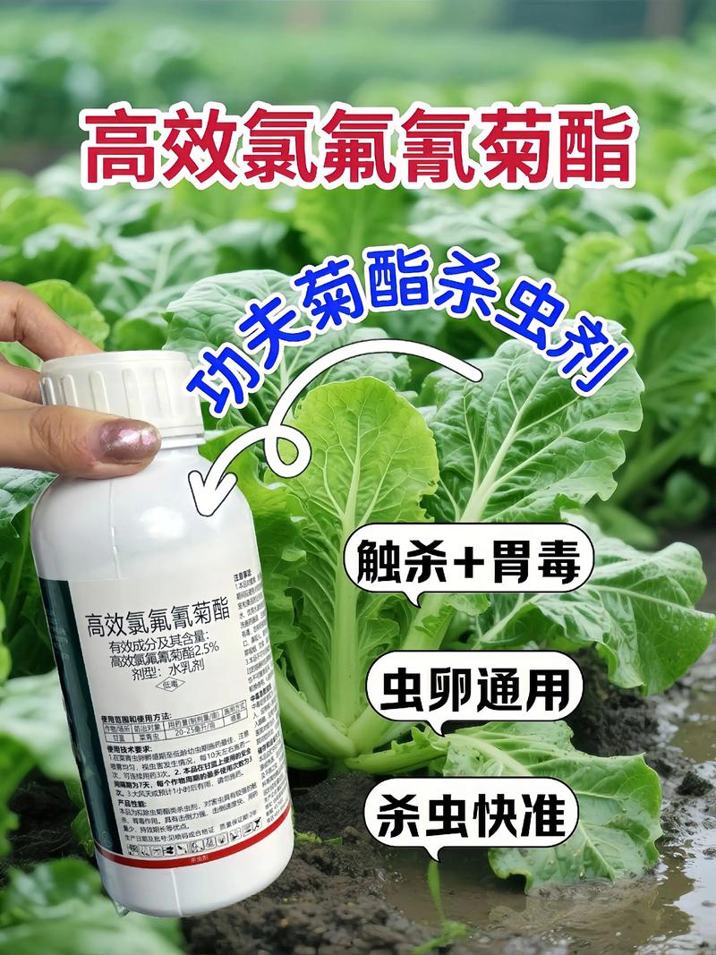 鄂州代生中心:农药对供卵代生妈妈的危害